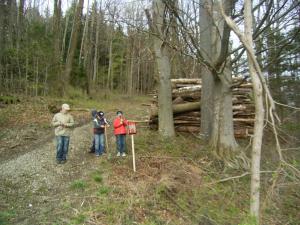 WaldABC08.jpg