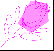 FURose.gif (1745 Byte)