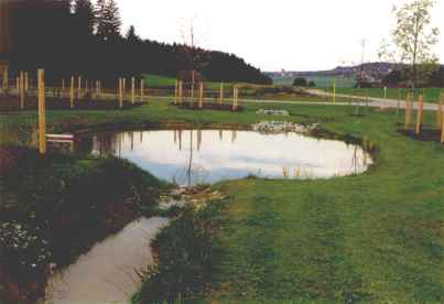 Biotop mit 
Bachverlauf in Schnaitsee