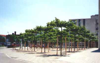 Bepflanzung vor 
der Waldkraiburger Chirstk�nig-Kirche