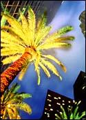 Downtown Los Angeles bei Nacht