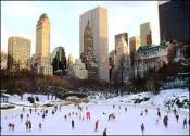 Luxus am Central Park: das Plaza Hotel 