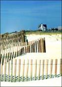 Rund 180 km Badegelegenheit - Long Island